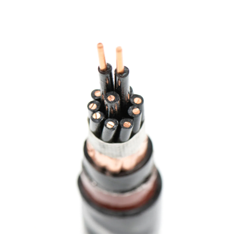 Plastic Insulated Control Cable