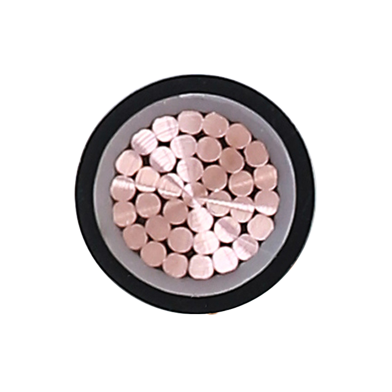 EV Charging Cable Para sa Rated Voltage 450/750V