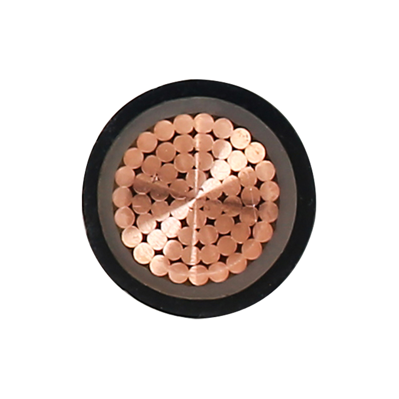 EV Charging Cable Para sa Rated Voltage 450/750V