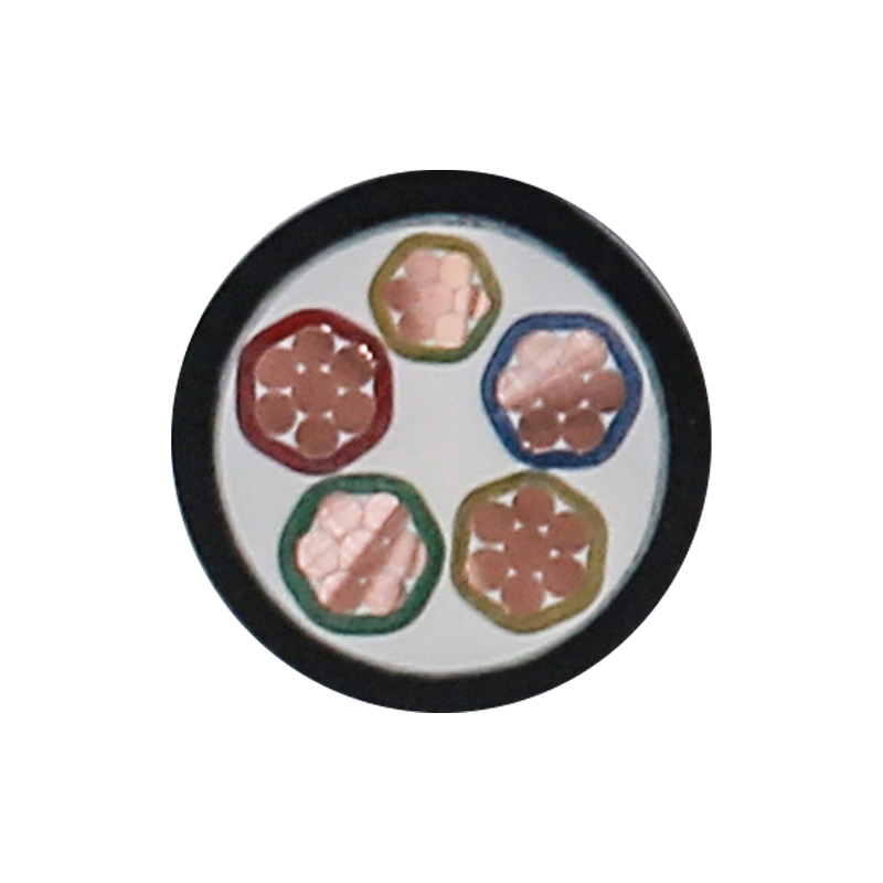 EV Charging Cable Para sa Rated Voltage 450/750V