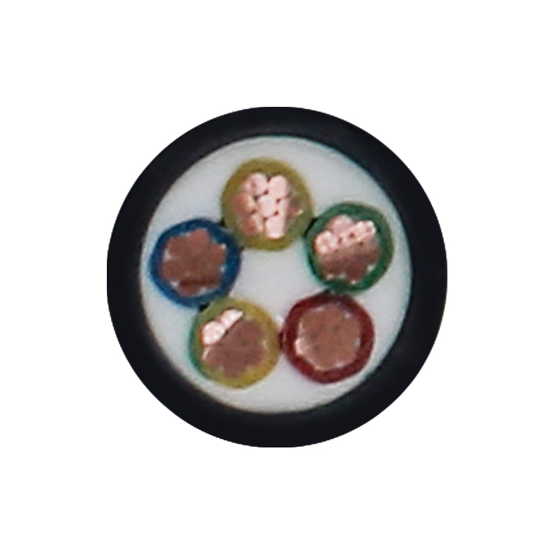 EV Charging Cable Para sa Rated Voltage 450/750V