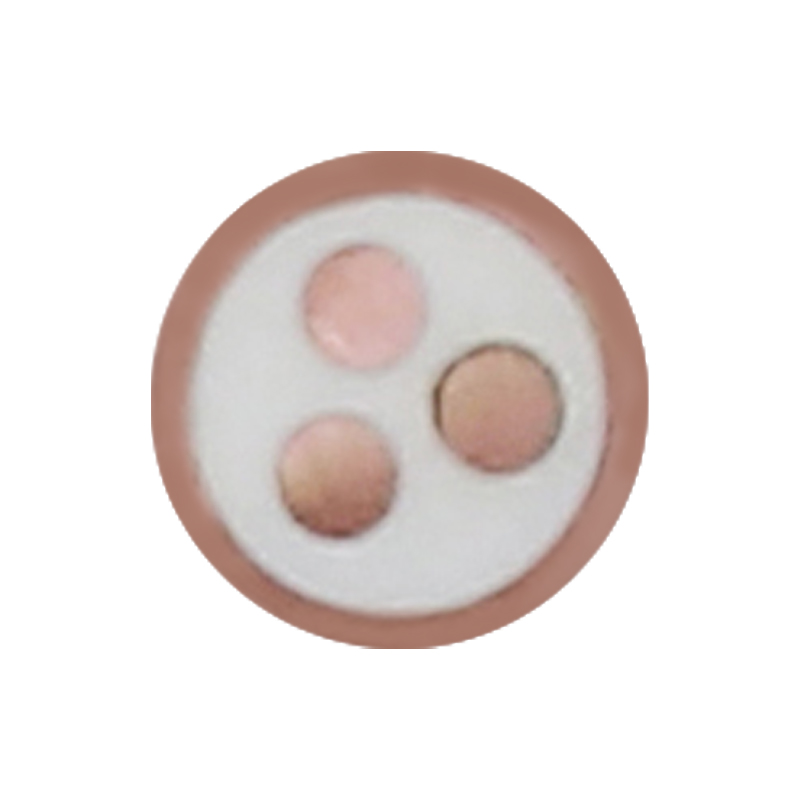 EV Charging Cable Para sa Rated Voltage 450/750V