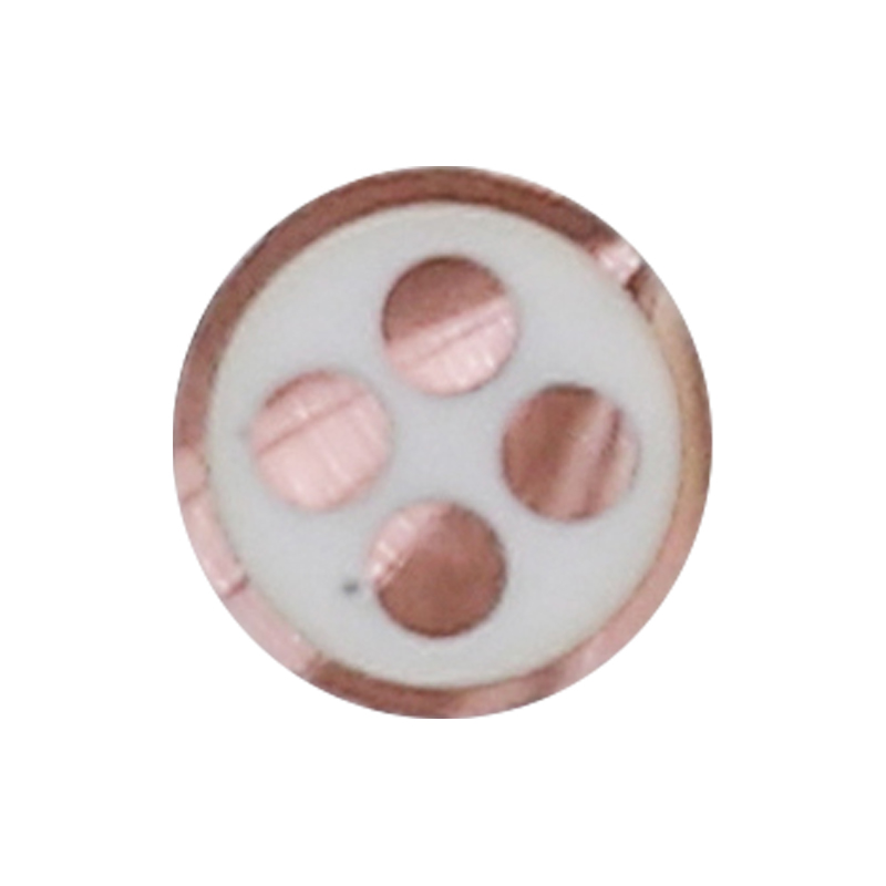 EV Charging Cable Para sa Rated Voltage 450/750V