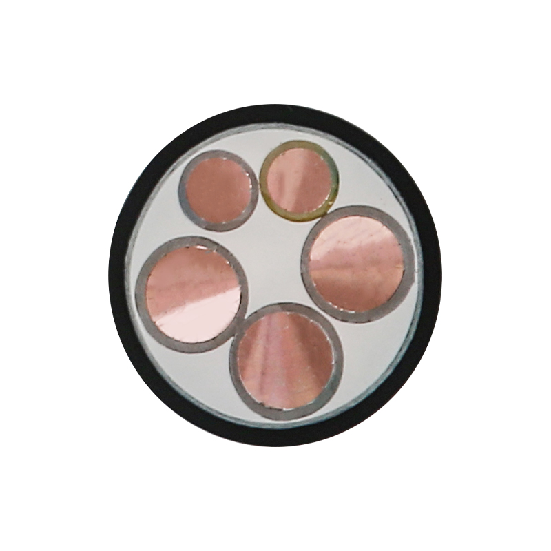 EV Charging Cable Para sa Rated Voltage 450/750V